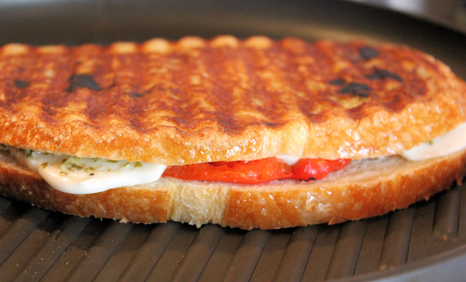 Panini 101 Make the perfect Panini! No Special