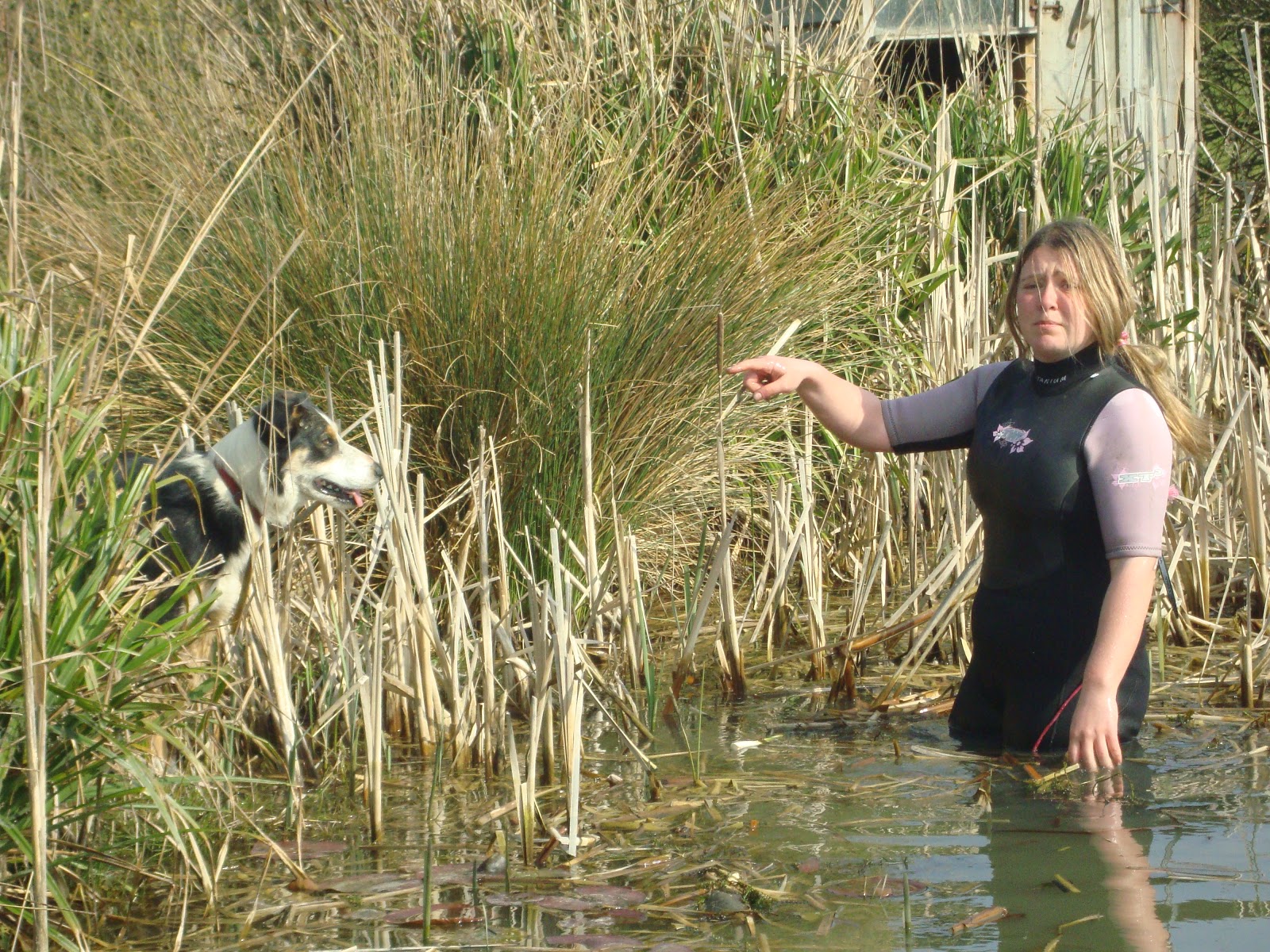 pond maintenance