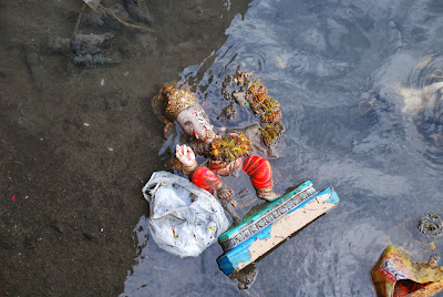 MY CACTUS DRESS: Happy Ganesh Visarjan