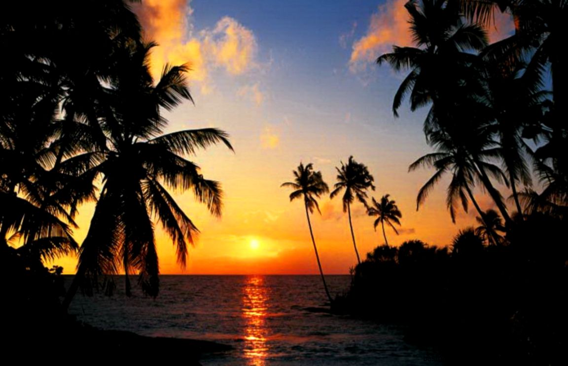 Tropical Paradise Sunrise