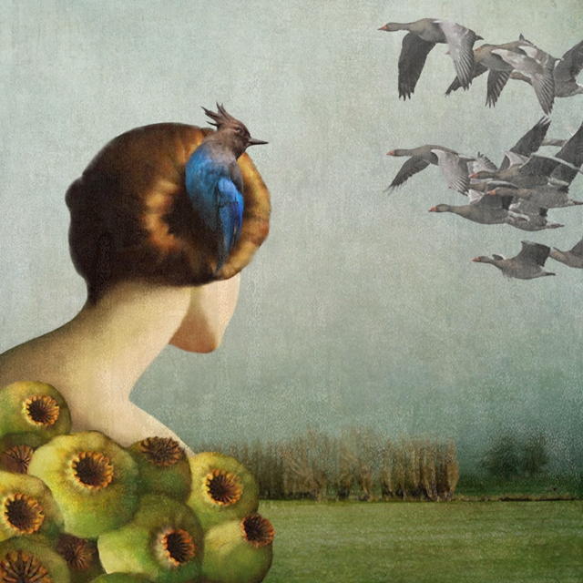 10-Nest-Daria-Petrilli-Photograph-Collage-to-Produce-Surrealism-www-designstack-co