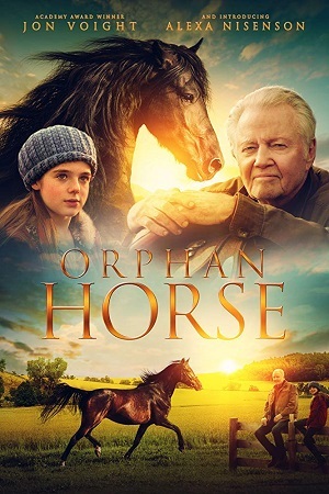 Orphan Horse - Legendado Torrent