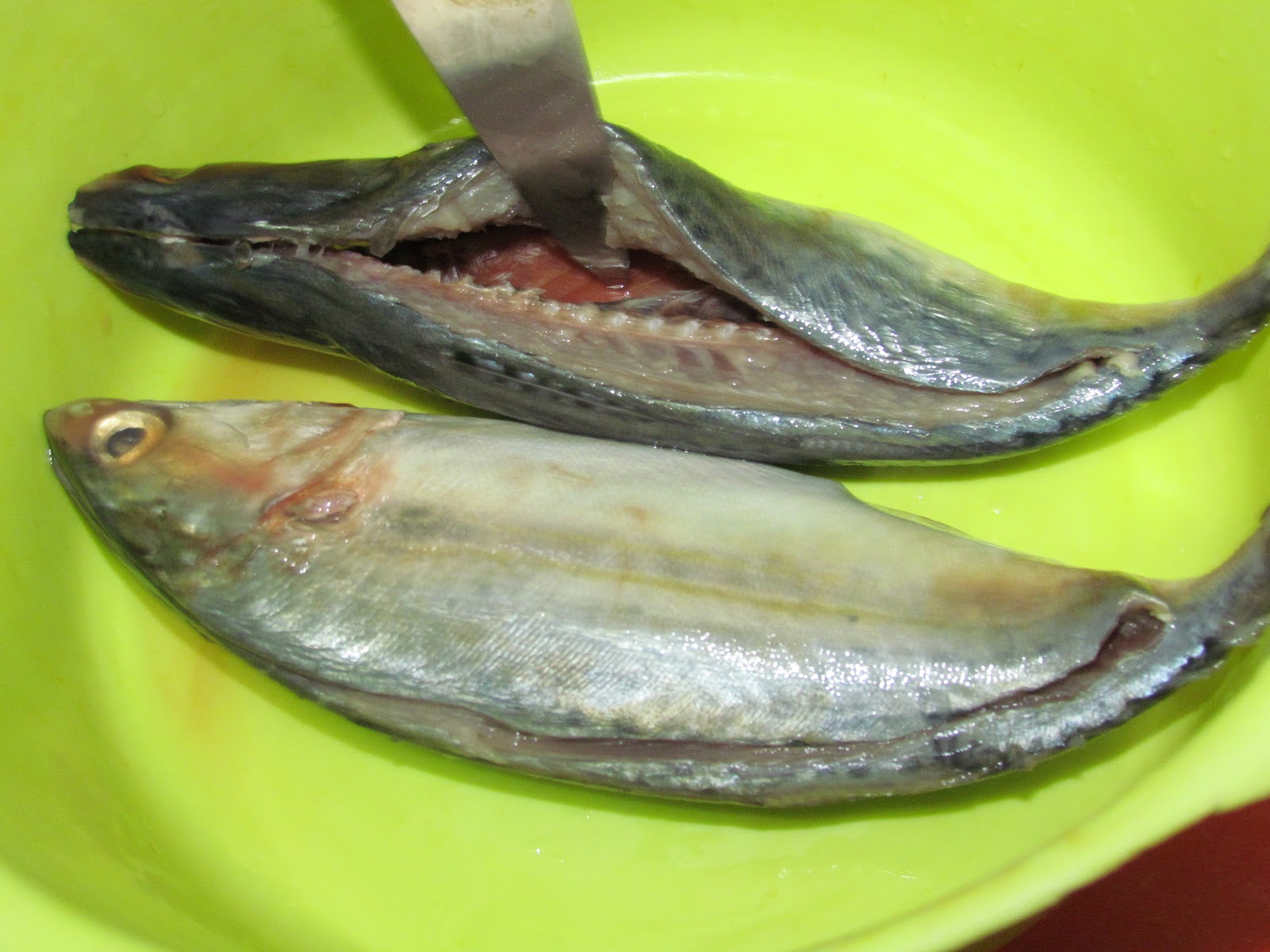 DeLiMa ZamRuD: Ikan bakar sumbat