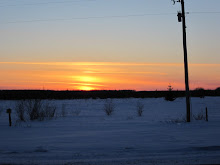 Northern Minnesota sunset in the Big Bog