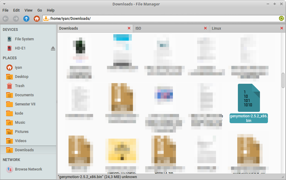 Genymotion untuk Linux