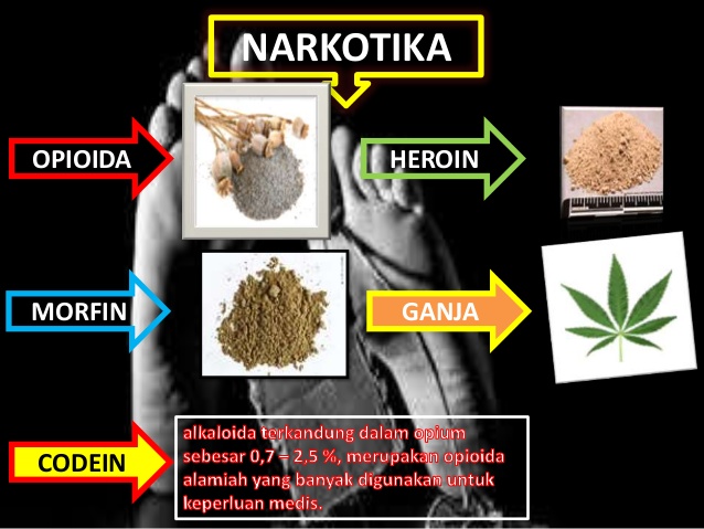 PENGERTIAN NARKOBA DAN GOLONGANNYA Cyber Crime