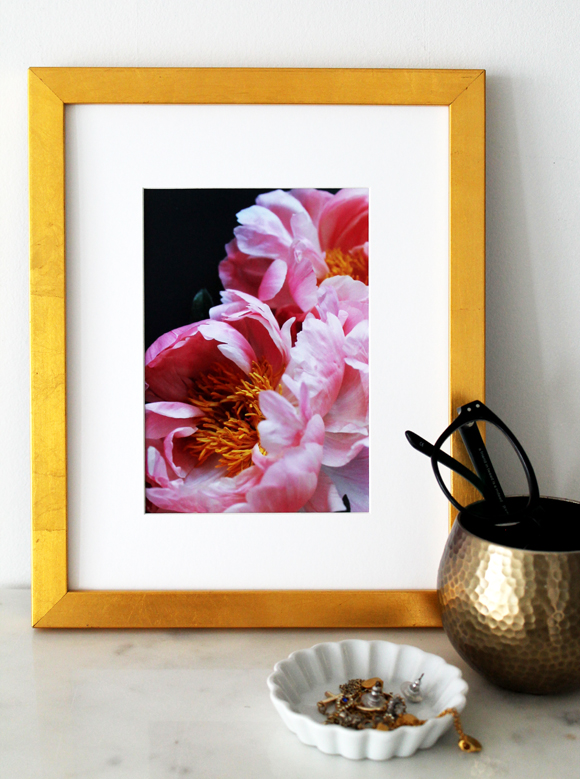 gold-leaf-frame-and pink-peonies (With images) | Pink peonies, Peonies