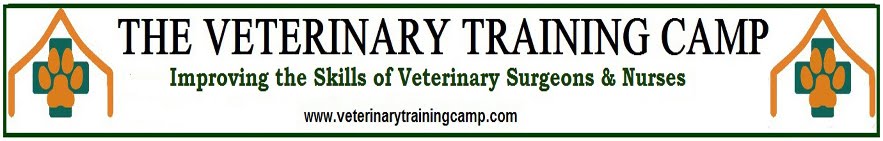 THE VETERINARY TRAINING CAMP