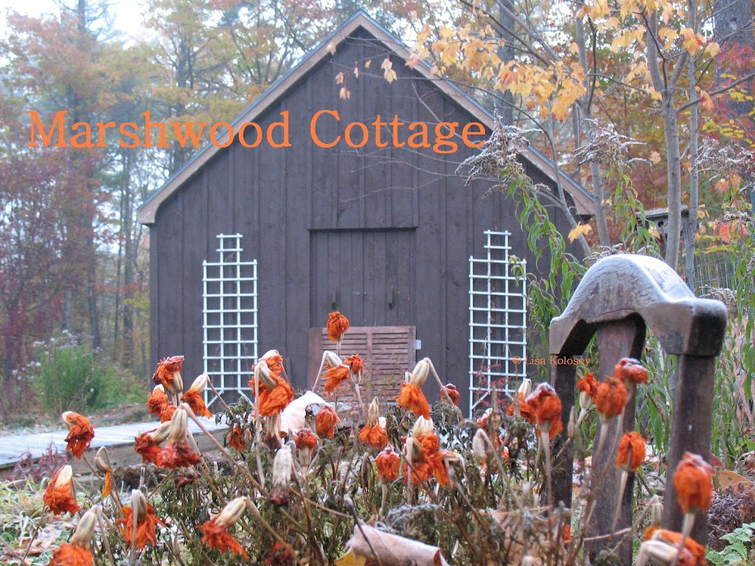 Marshwood Cottage