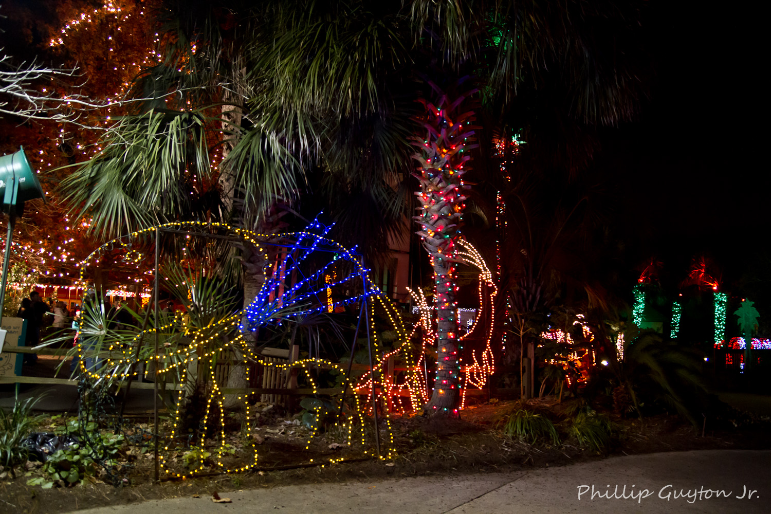 True Light Photography Riverbank Zoo's Lights Before Christmas
