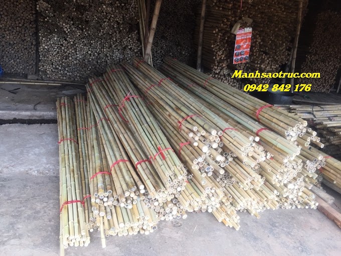 MUA CÂY TRE - CÂY TRÚC TRANG TRÍ Ở ĐÂU TỐT NHẤT