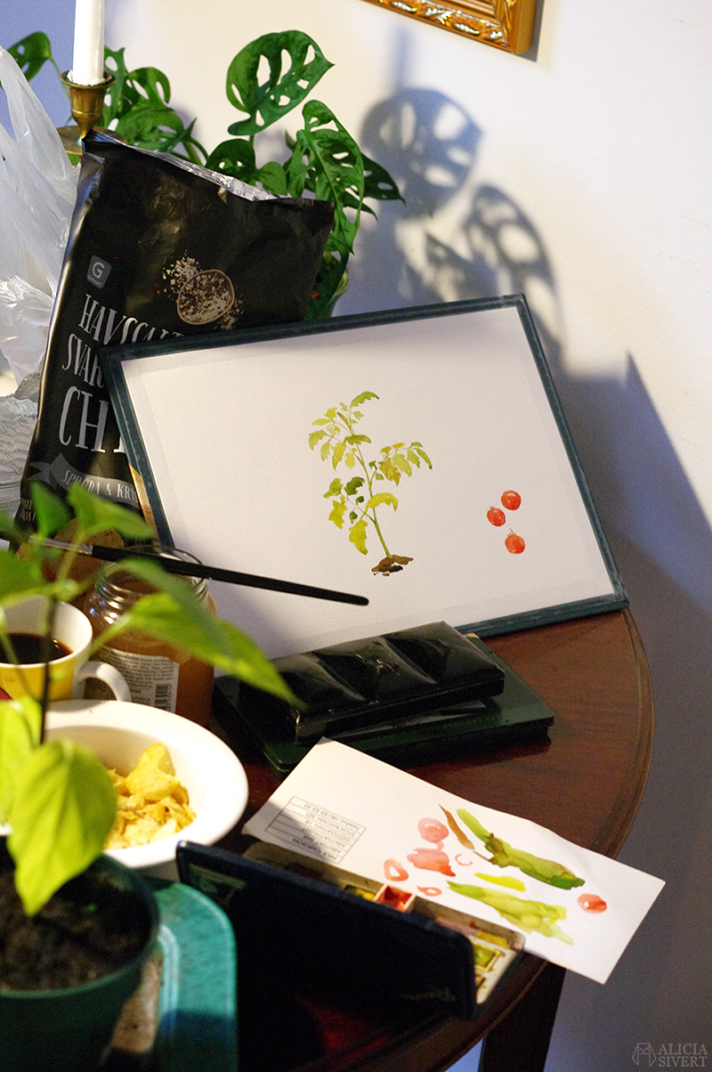Watercolour plant illustration (WIP) by Alicia Sivertsson.