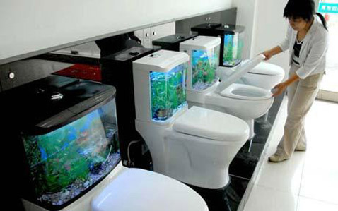 toilet fish tanks