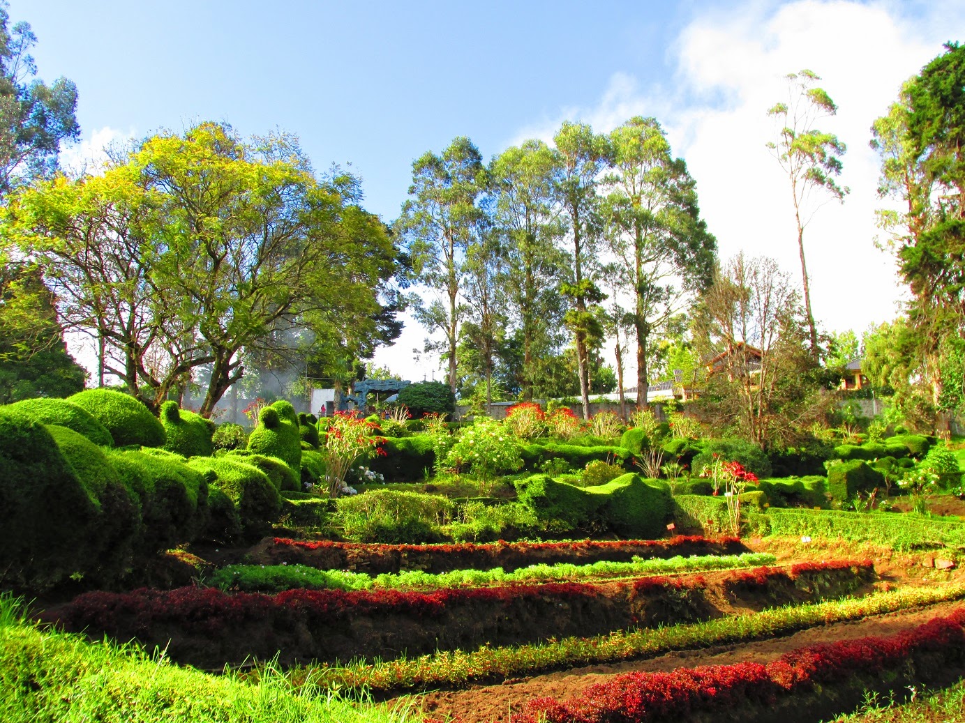 Chettiar Park Kodaikanal