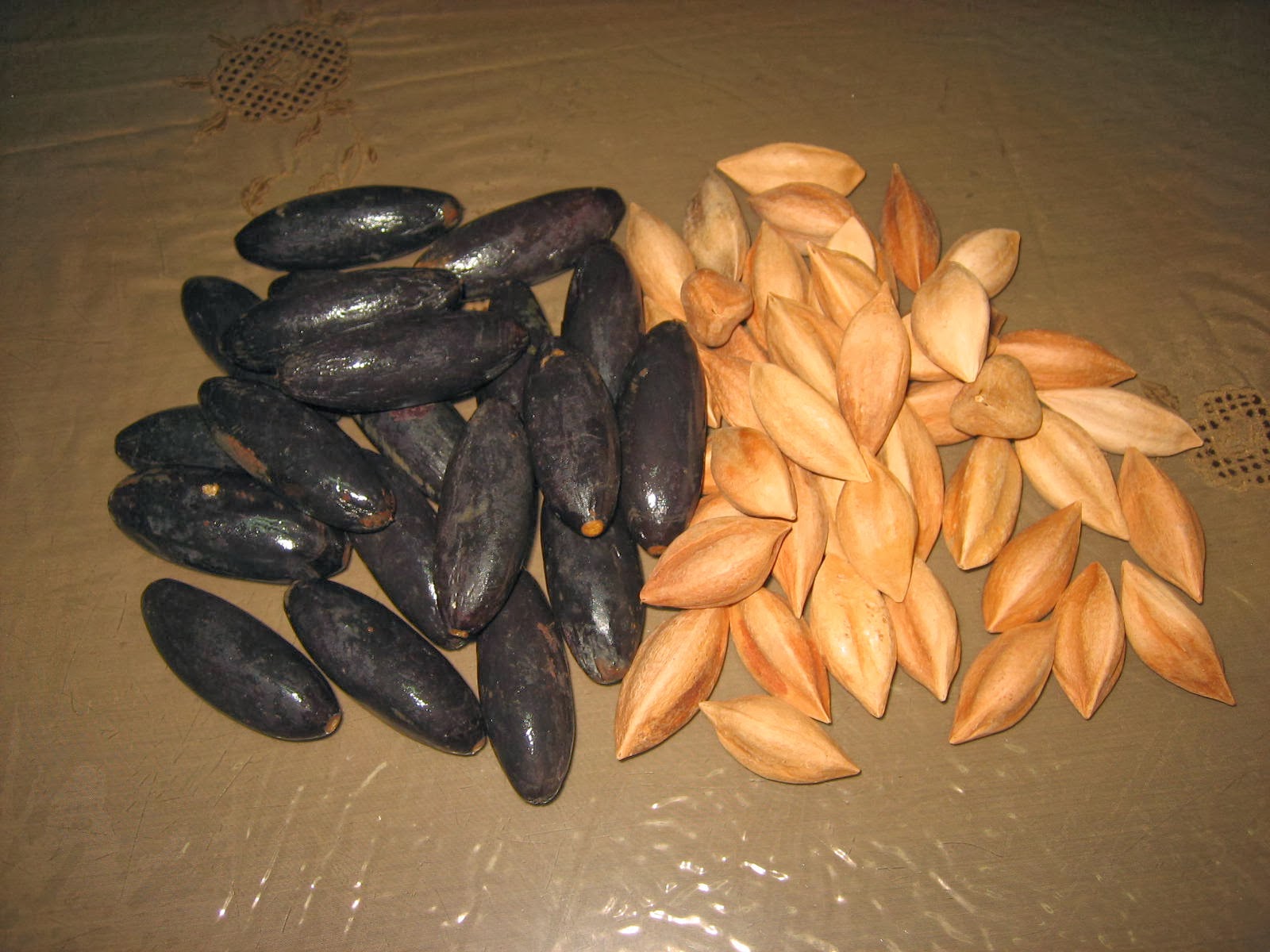 Philippine Medicinal Plants Philippine Medicinal Plant Pili