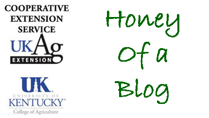 Honey of a Blog