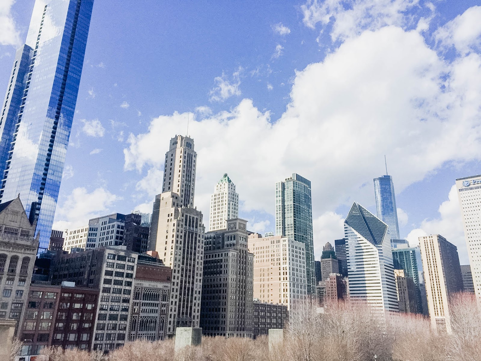 Chicago skyline | The Bella Insider