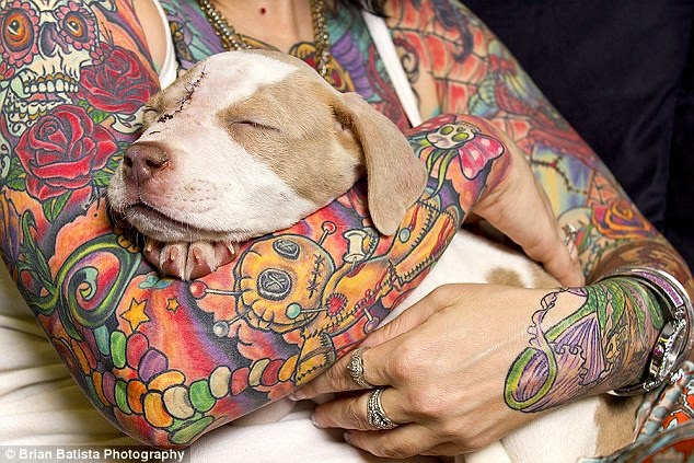 Fotógrafo utiliza su arte para luchar contra el prejuicio de animales sin  hogar y las personas tatuadas - Seamos Mas Animales Como Ellos - SMACE