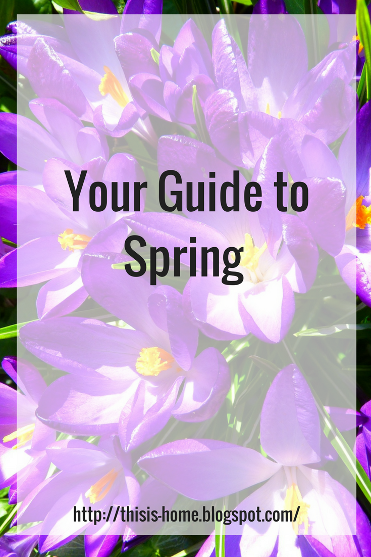 Your Guide to Spring • This Is Home