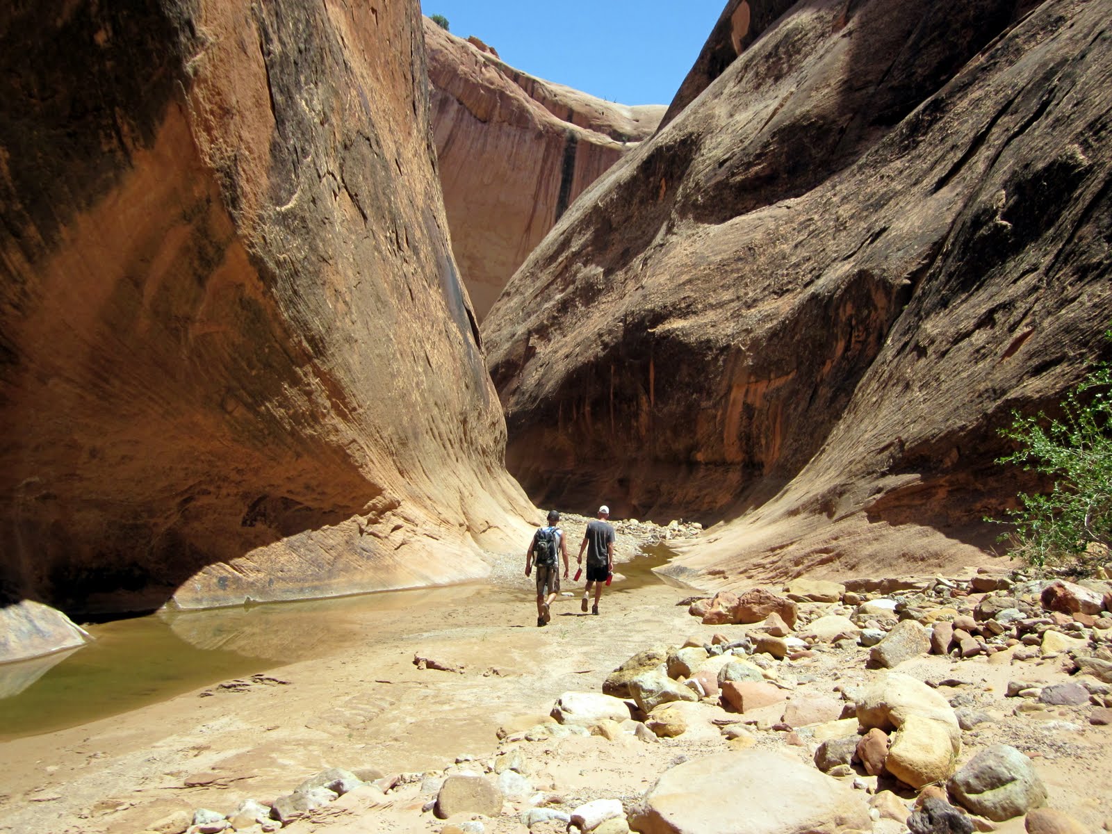 Journeys Capitol Reef National Park, Utah Halls Creek Narrows Backpacking