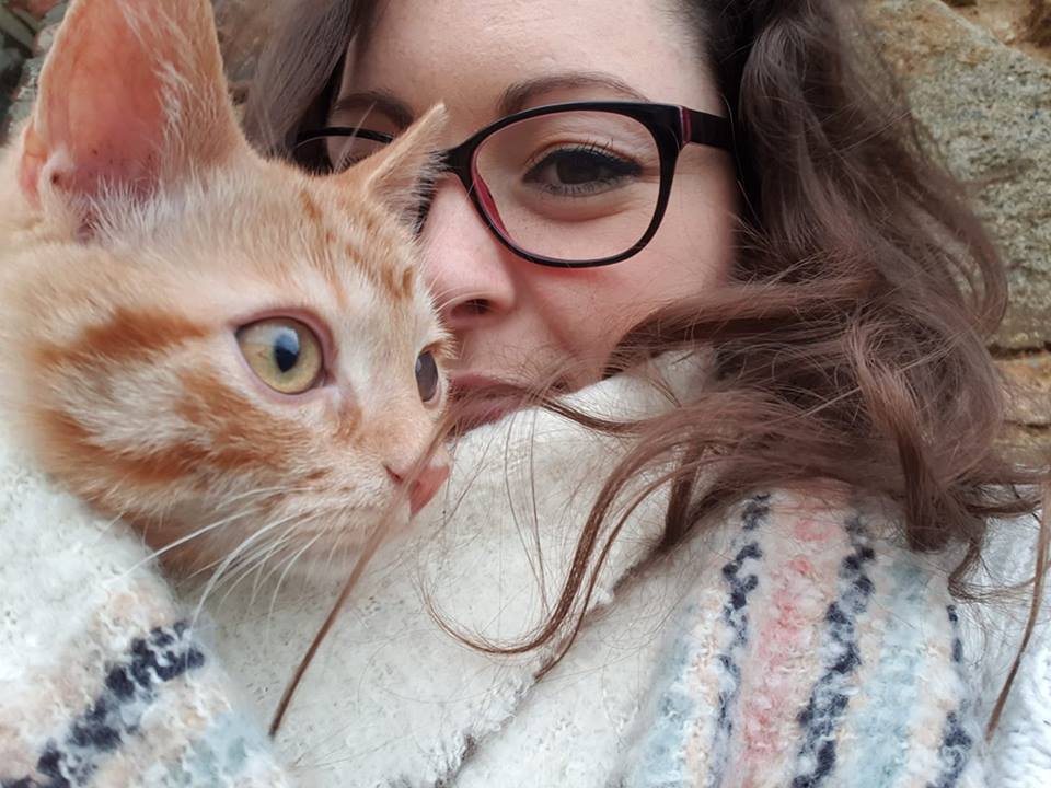 words from the funny farm The Funny Farm Cat Rescue