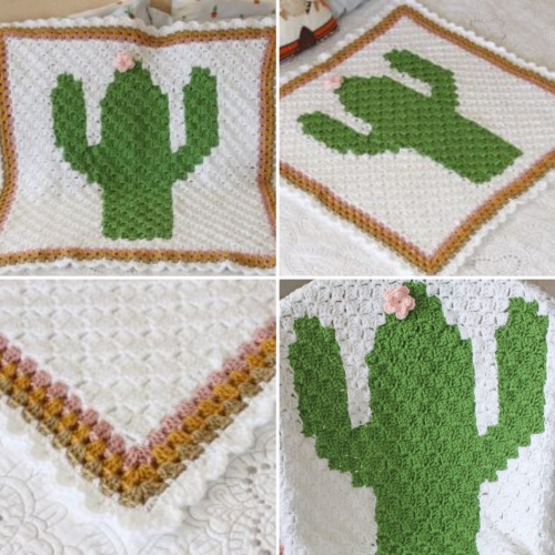 Beautiful Skills Crochet Knitting Quilting C2C Cactus Baby Blanket