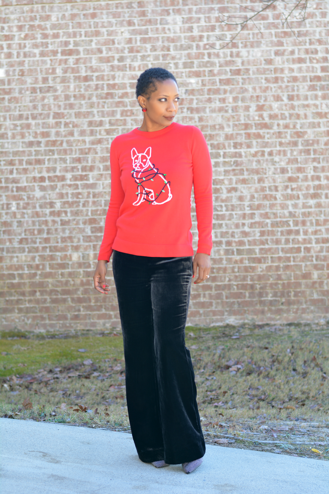 terrier dog christmas sweater from crown & ivy collection at belk