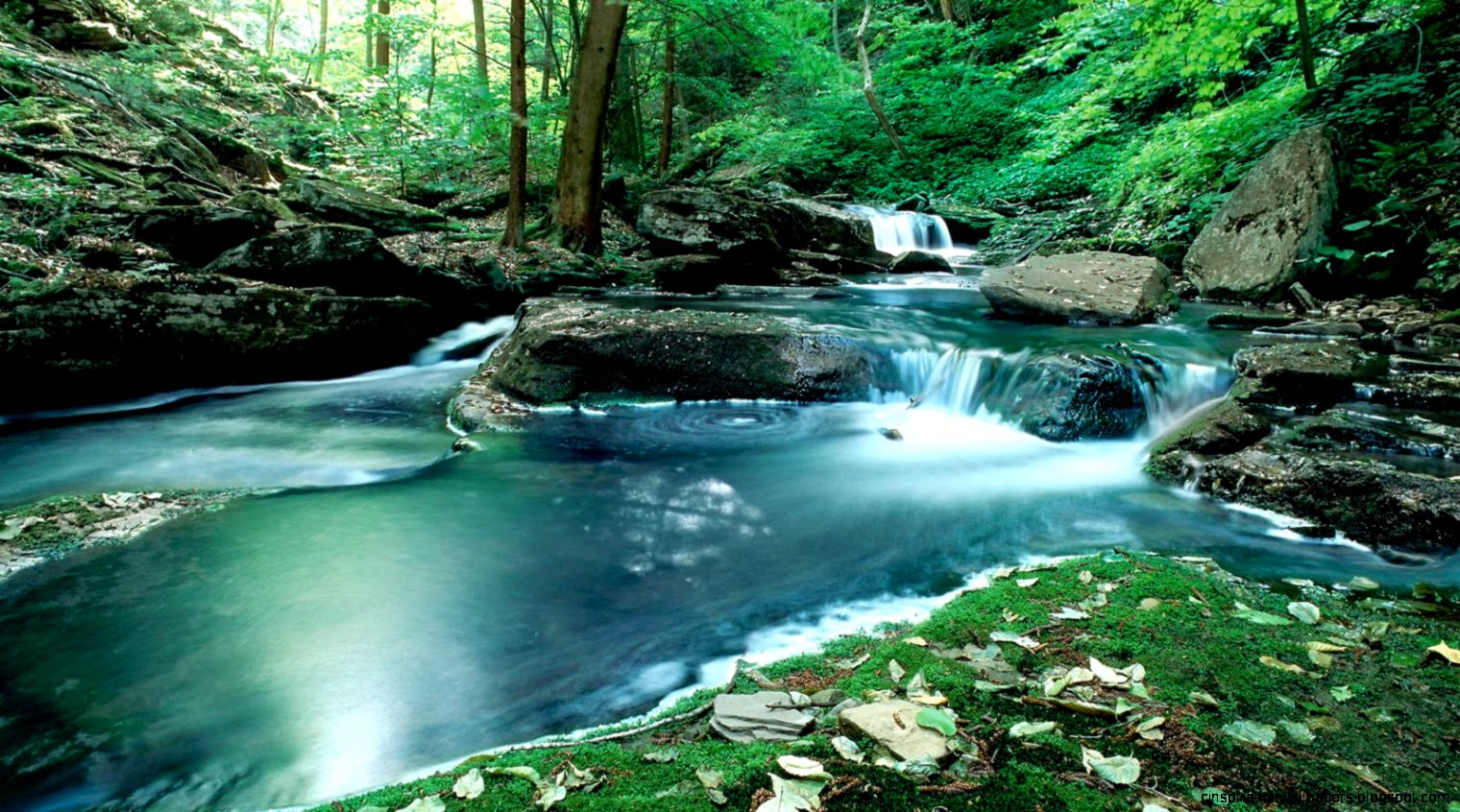 Free Desktop Backgrounds Nature   Widescreen HD Wallpapers