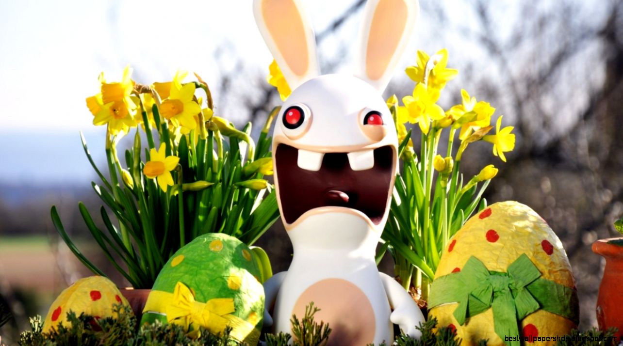 Funny Easter Bunny Desktop Background  Desktop Backgrounds HQ