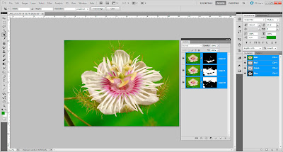 Focus Stacking in Adobe Photoshop Focus Stacking in Adobe Photoshop