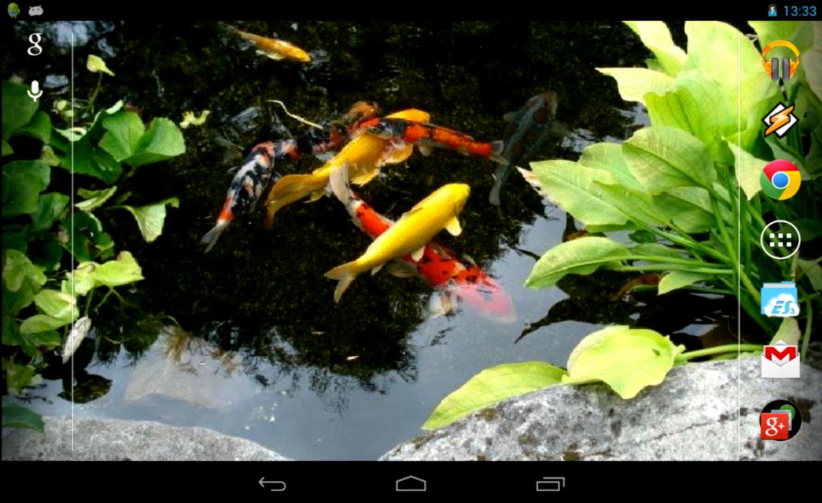 Realistic Koi Live Wallpaper   Android Apps on Google Play