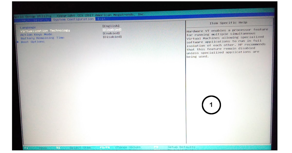 Could not find any compatible direct3d devices
