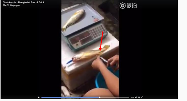 WASPADA !! Video Kecurangan Pedagang Ini Menyuntik Ikan Jualanya Agar Selalu Terlihat Segar JANGAN DITRU !! 