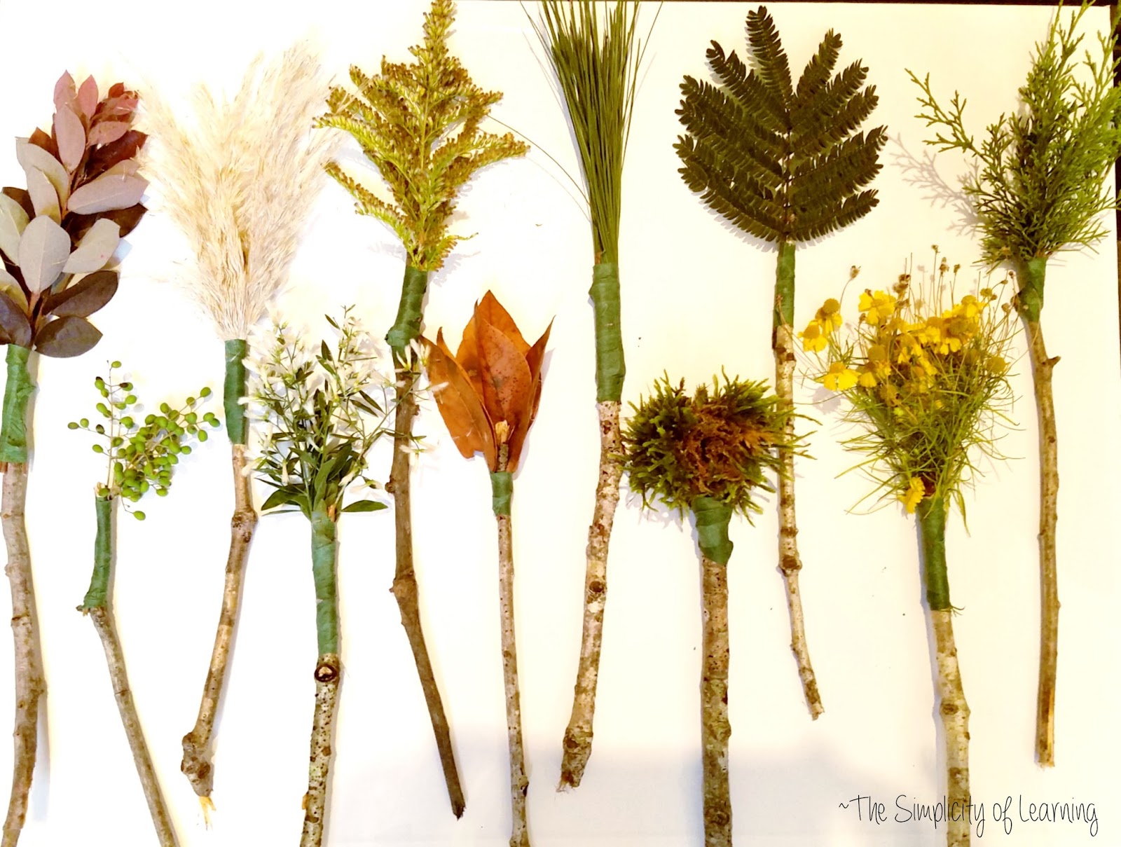 The Simplicity of Learning Nature's Paint Brushes