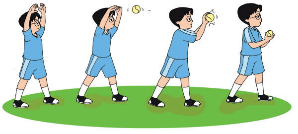 Teknik Melempar Dan Menangkap Bola Kelas 6 Tema 1 Subtema 2 Pembelajaran 3 Imron Web Id