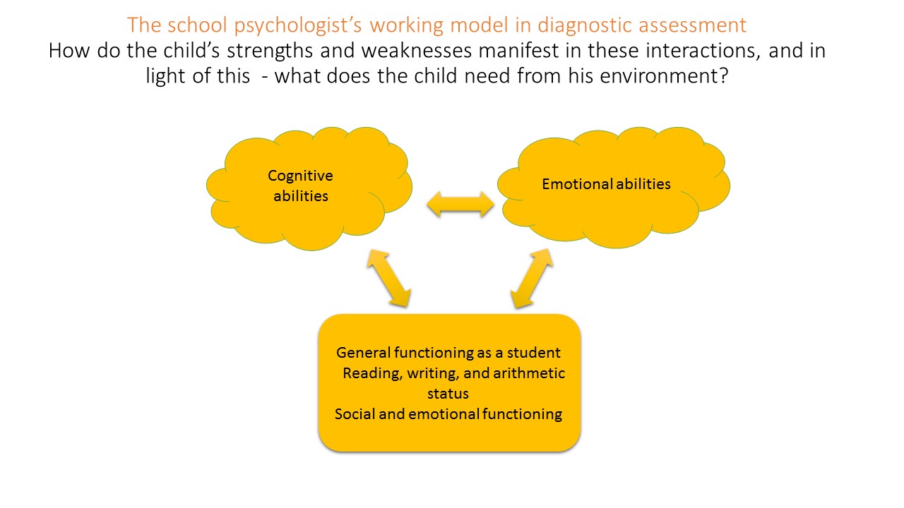 Beyond IQ The school psychologist's working model and professional