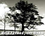 http://jahreszeitenbriefe.blogspot.de/2015/12/mein-freund-der-baum-34.html