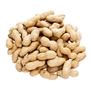 contoh artikel bahasa sunda tentang kesehatan kacang