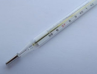 Cari Tahu Cara Kerja Termometer Air Raksa