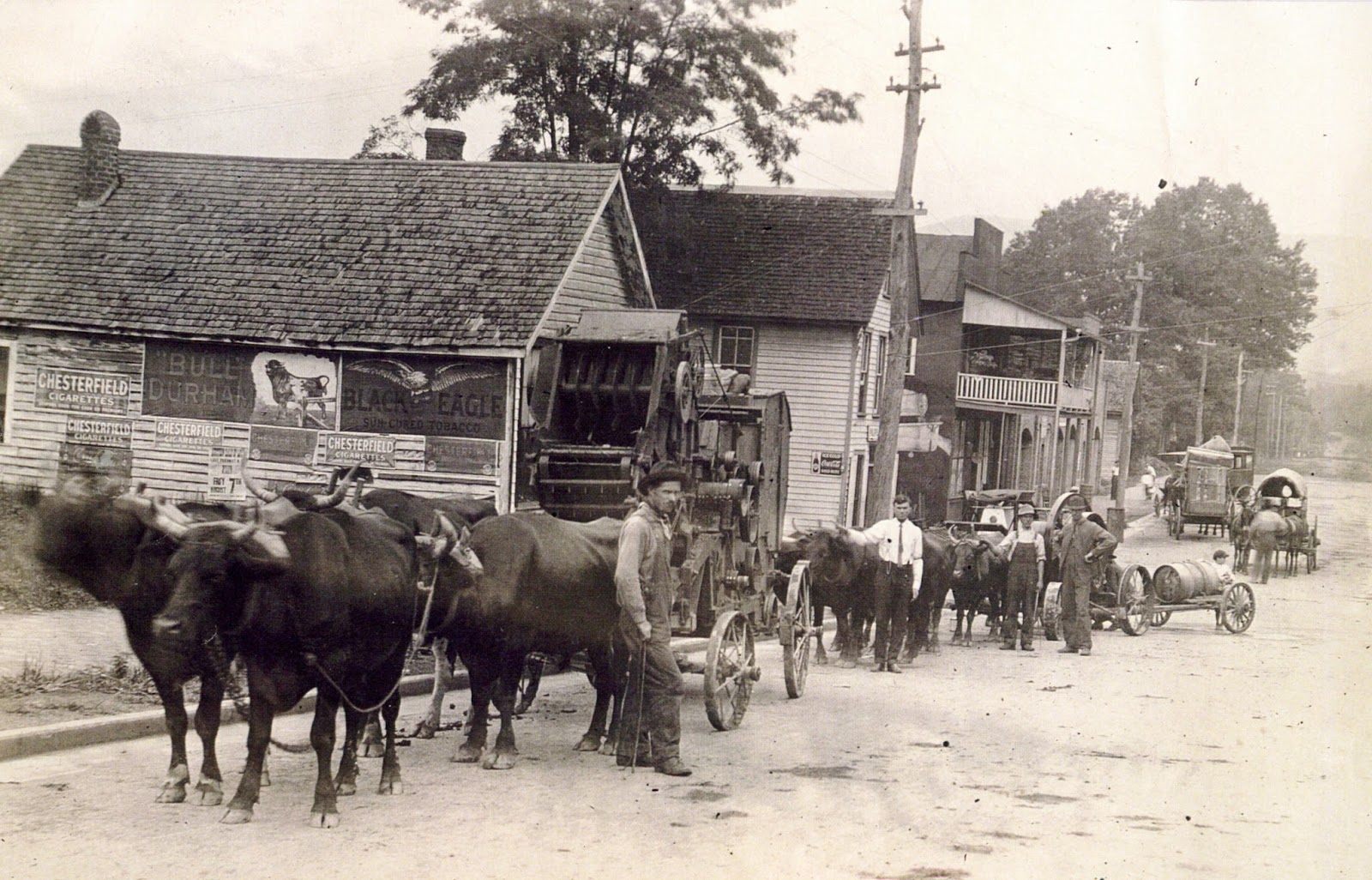 The Rowell Bosse North Carolina Room Brevard Incorporated 150 Years Ago