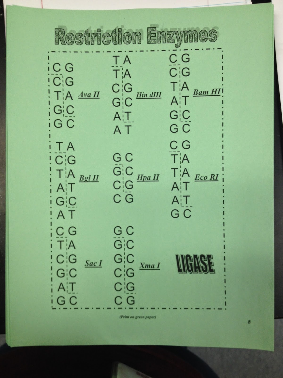 Mrs. Strong's AP Biology Restriction Enzyme Lab