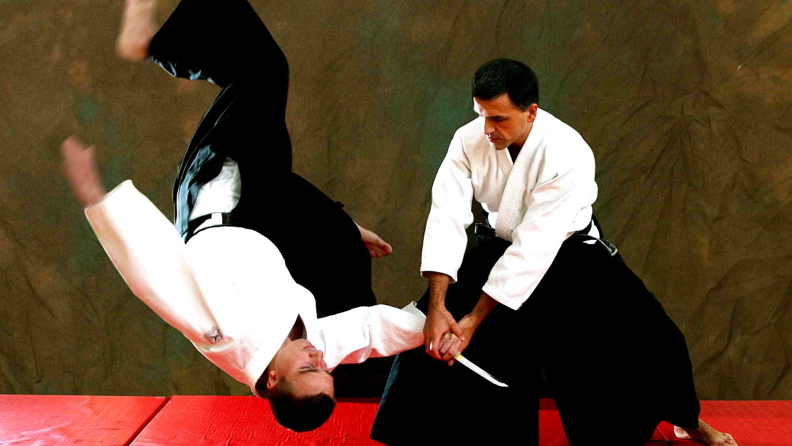 Aikido Aikido Vs Karate Karate Choices