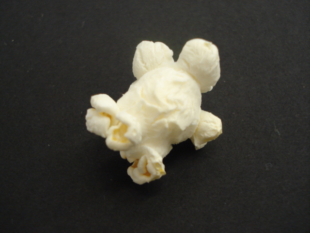 Popcorn Interpretive Drawing by a faithful attempt