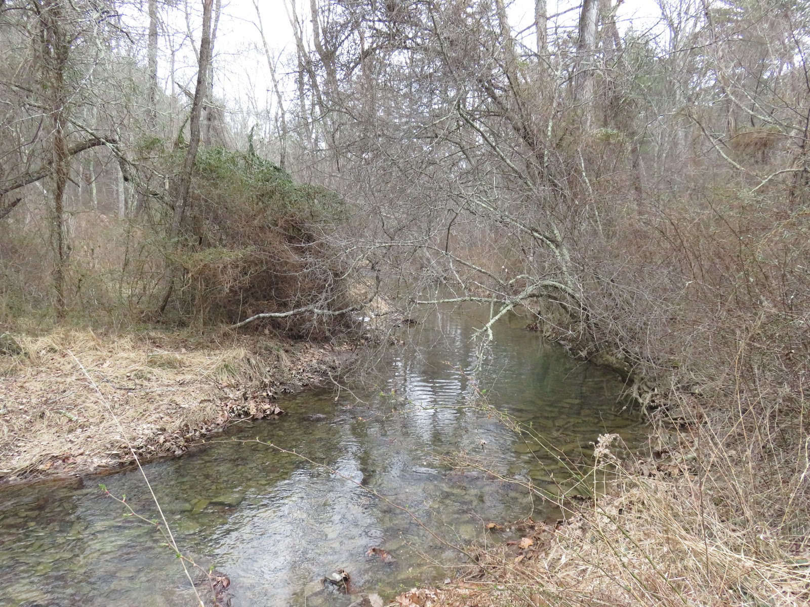 Allegheny Mountain Wanderings Run Wanderings