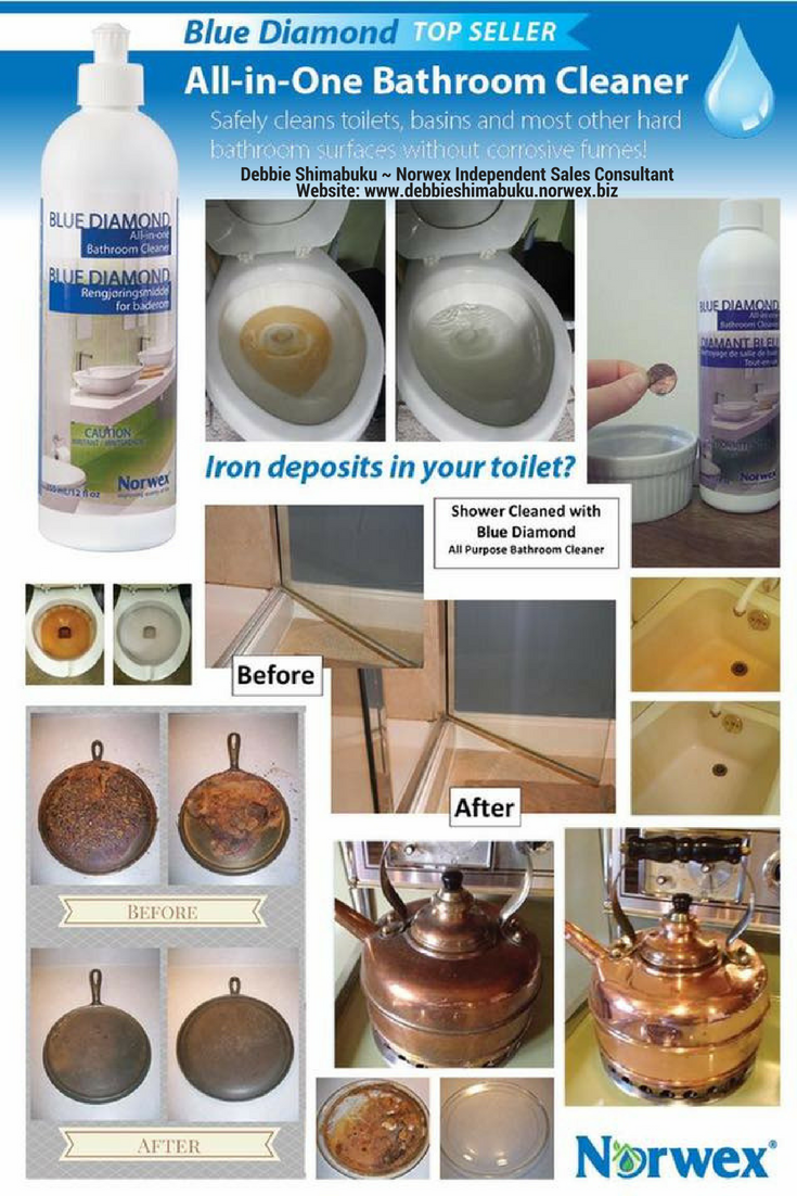 Blue Diamond AllinOne Bathroom Cleaner TOP SELLER