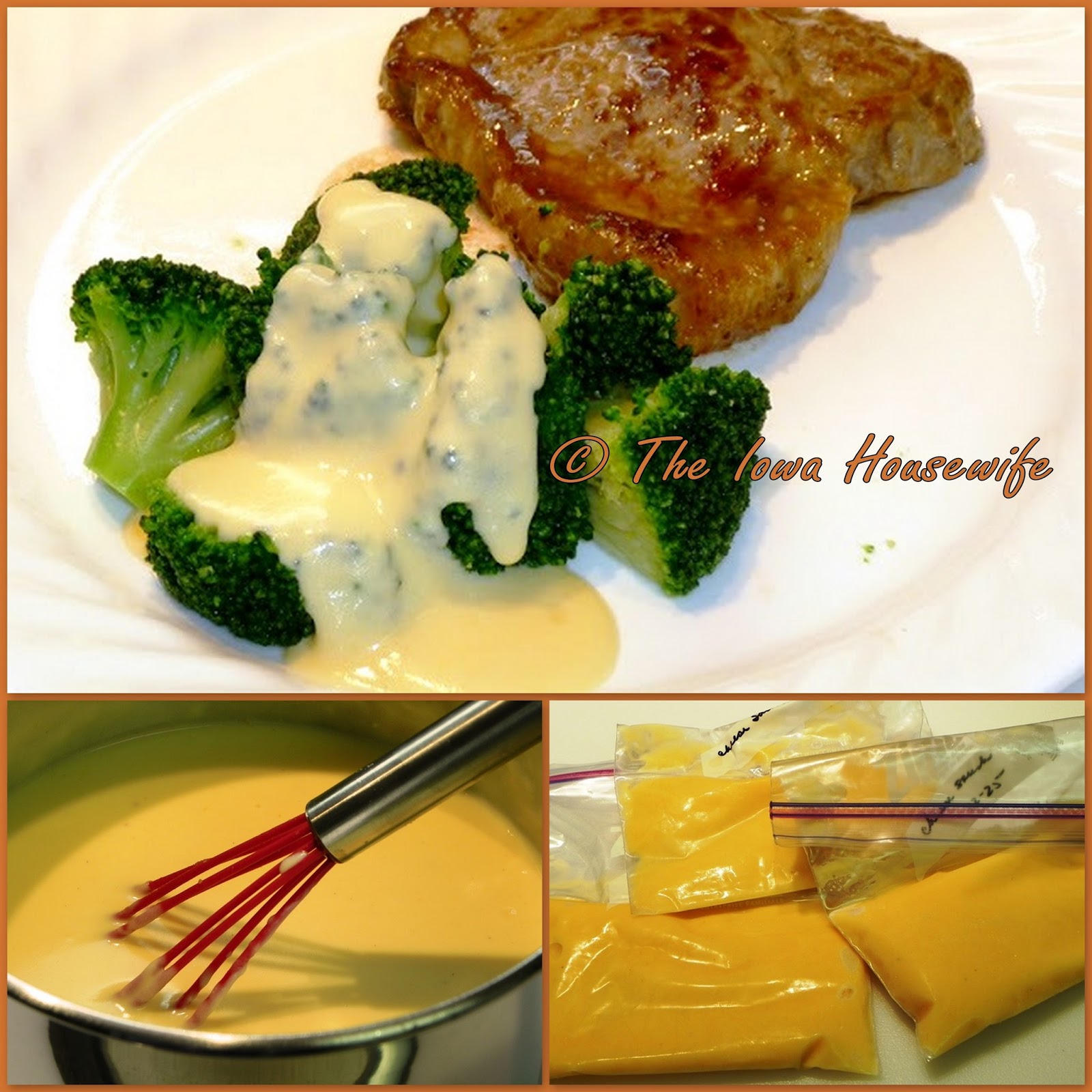 The Iowa Housewife Freezer Cheese Sauce Mix