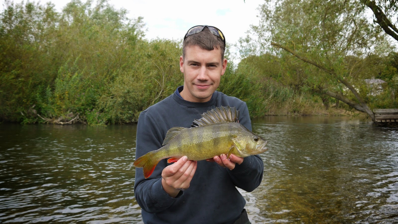 James' Angling Adventures. River Avon (