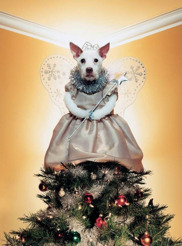 disfraz de perro en Navidad
