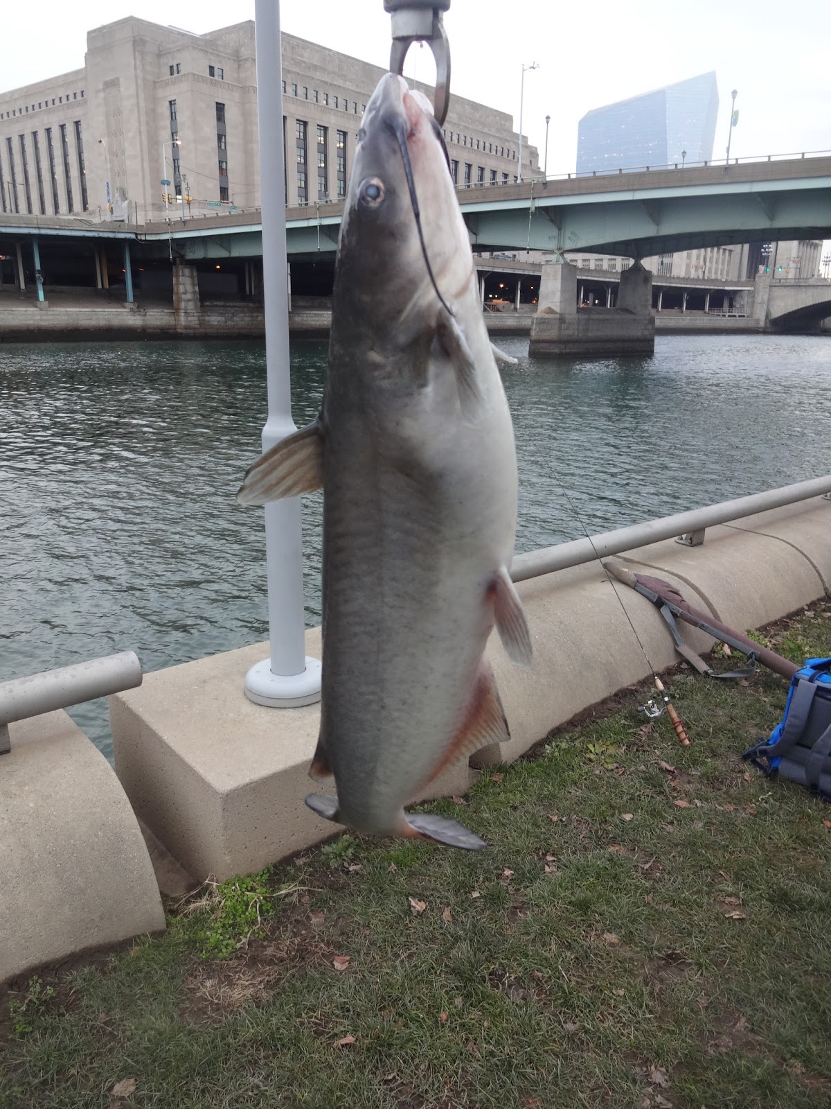 Extreme Philly Fishing January Fishing Sessions Schuylkill River (01/09)