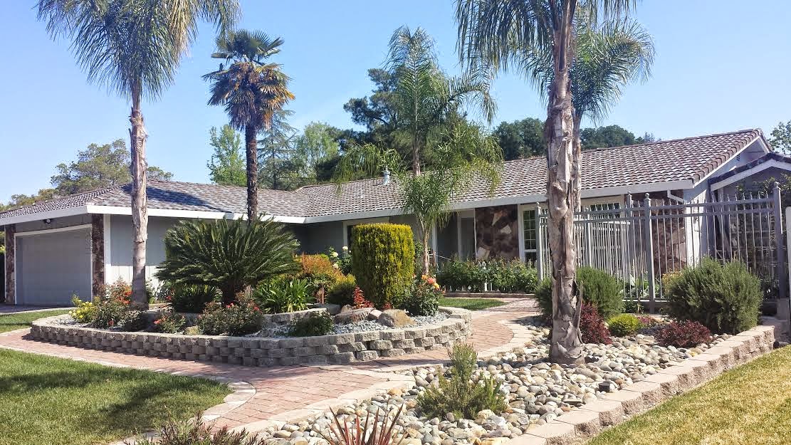 Drought Resistant Front Yards Will You Or Won T Leslie As I Was Walking Around This Past Week Doing Some Marketing Couldn T Help But Notice The Front Yards Gone Are Days Of Nice Green Lawns